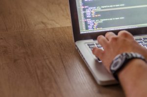 web development 2